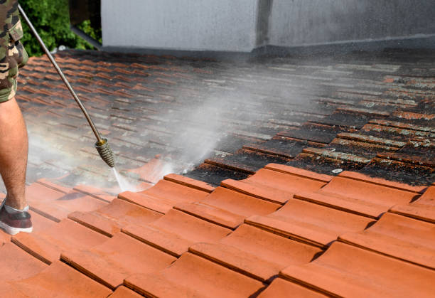 Best Affordable Power Washing  in Waterloo, WI