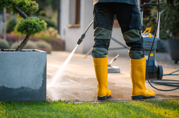 Best Deck Pressure Washing  in Waterloo, WI